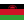 Malawi Flag